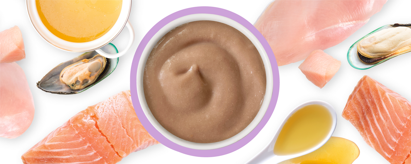 A bowl of smooth brown puree is centered and surrounded by raw salmon, raw chicken, mussels, broth in cups, and a spoonful of oil on a white background.