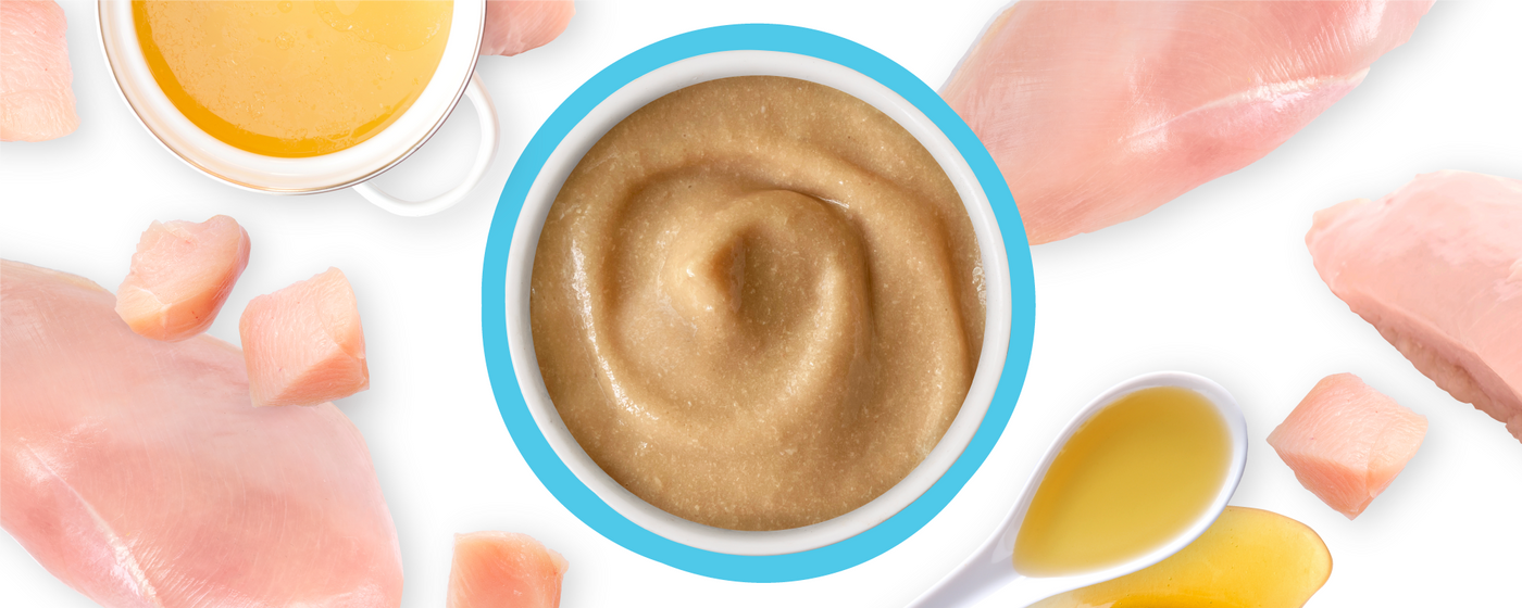 A bowl of smooth beige puree is surrounded by raw chicken breasts, diced chicken, a cup of broth, and a spoonful of golden liquid on a white background.