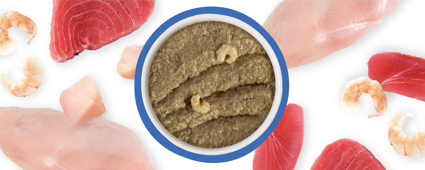 A bowl of brown pet food pâté with shrimp pieces on top, surrounded by raw pieces of shrimp, tuna, and chicken on a white background.