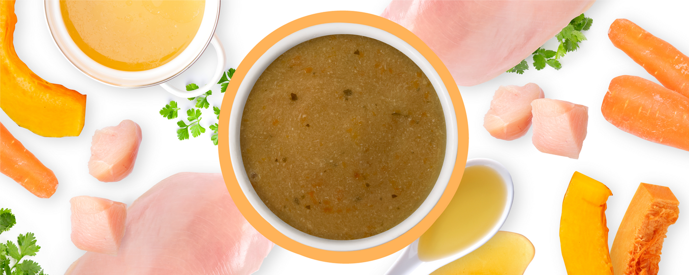 A bowl of brown blended soup is surrounded by raw chicken pieces, carrot slices, pumpkin slices, parsley, and small bowls of broth and sauce, all arranged on a white background.