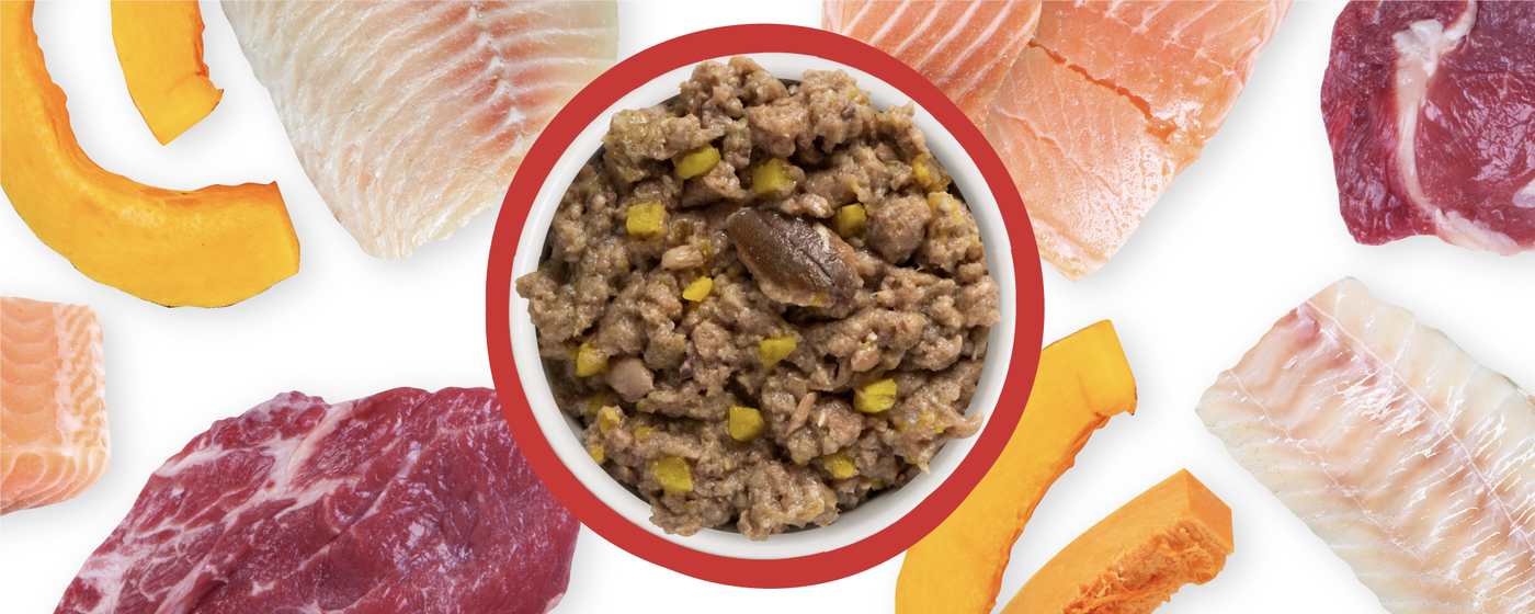 Food Bowl With Ingredients Used Scattered Around It