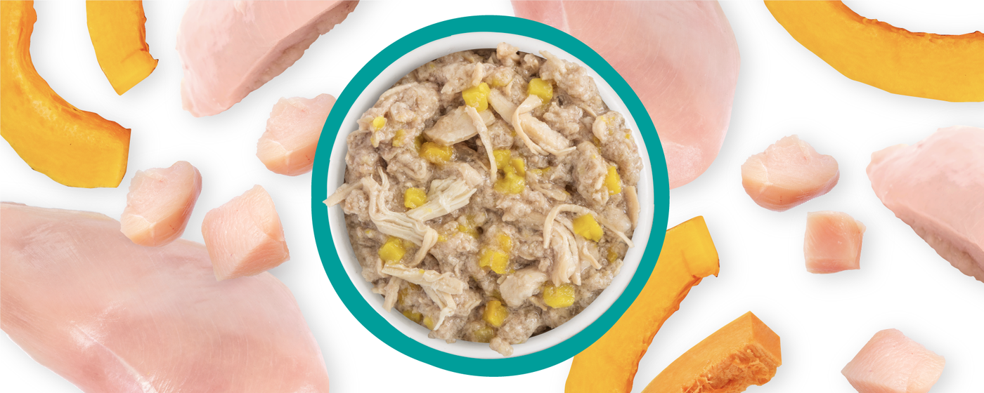 Food Bowl With Ingredients Used Scattered Around It