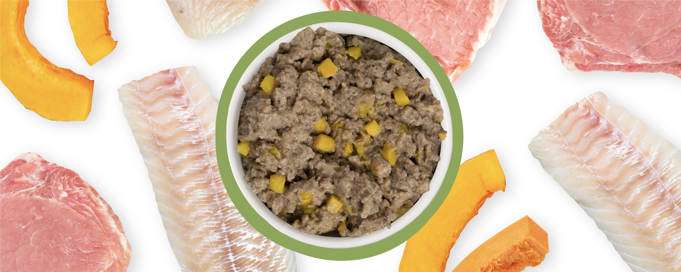 Food Bowl With Ingredients Used Scattered Around It