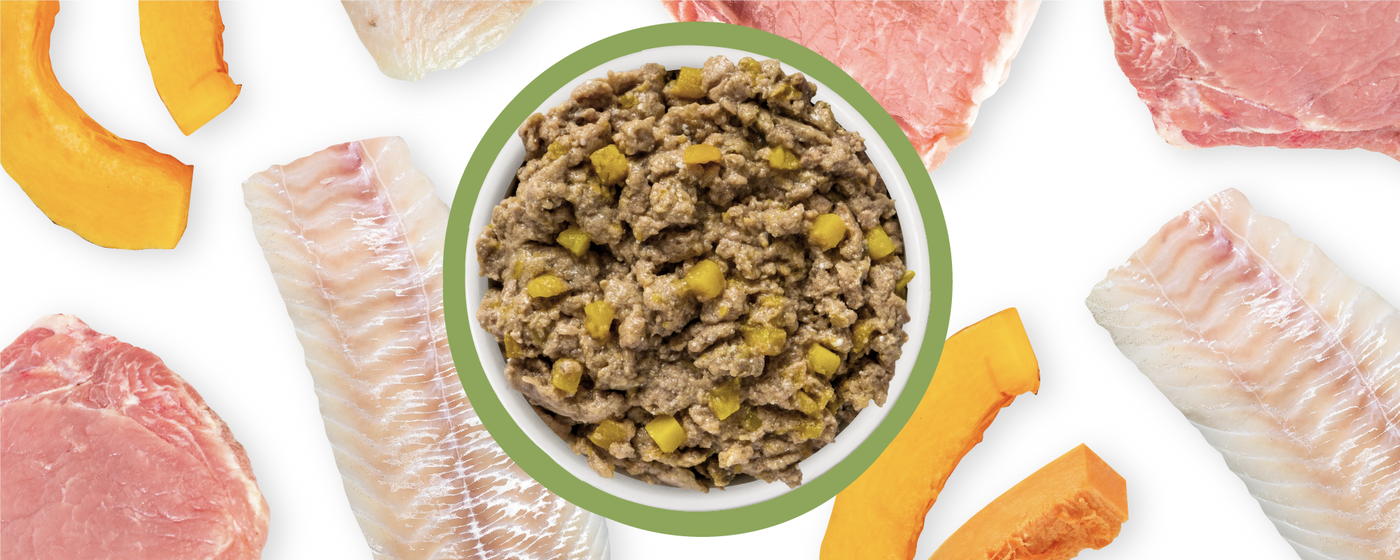 Food Bowl With Ingredients Used Scattered Around It