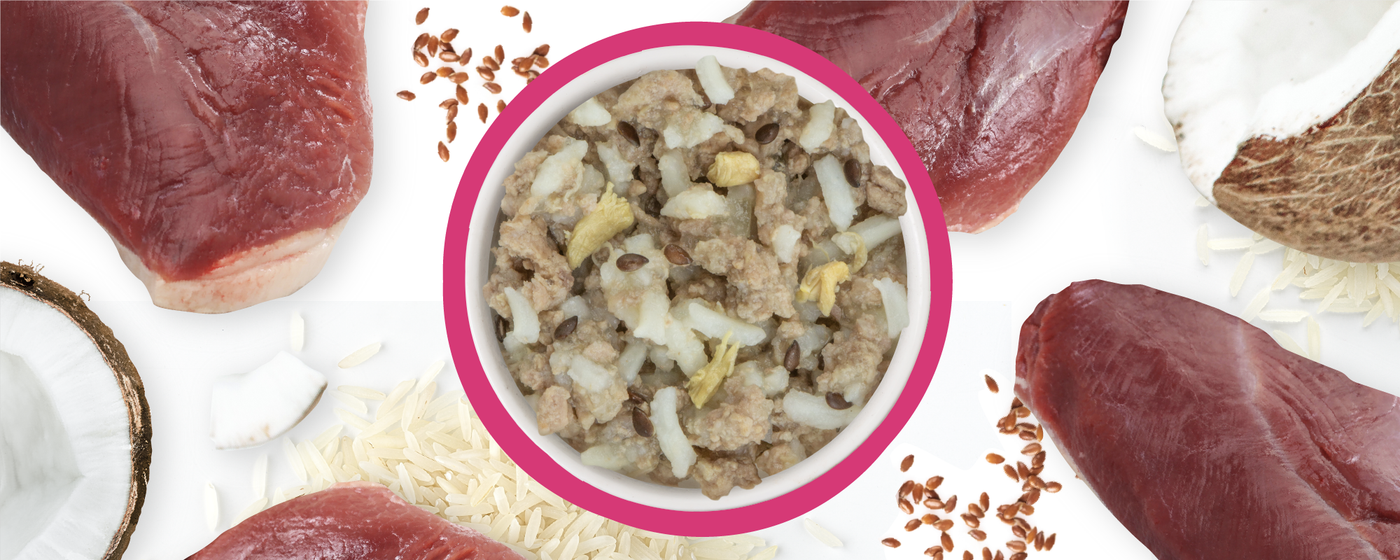 A bowl of pet food with ground meat, rice, and egg in the center, surrounded by raw red meat, coconut pieces, rice grains, and flaxseeds on a white background.