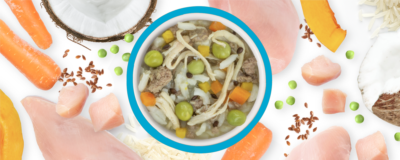 A bowl of stew with shredded chicken, peas, carrots, and rice, surrounded by raw chicken, carrot slices, pumpkin, peas, coconut, flax seeds, and cheese on a white background.