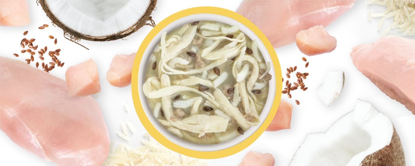 A bowl of creamy soup with chicken strips, surrounded by raw chicken breast, rice, flax seeds, and coconut pieces on a white background.