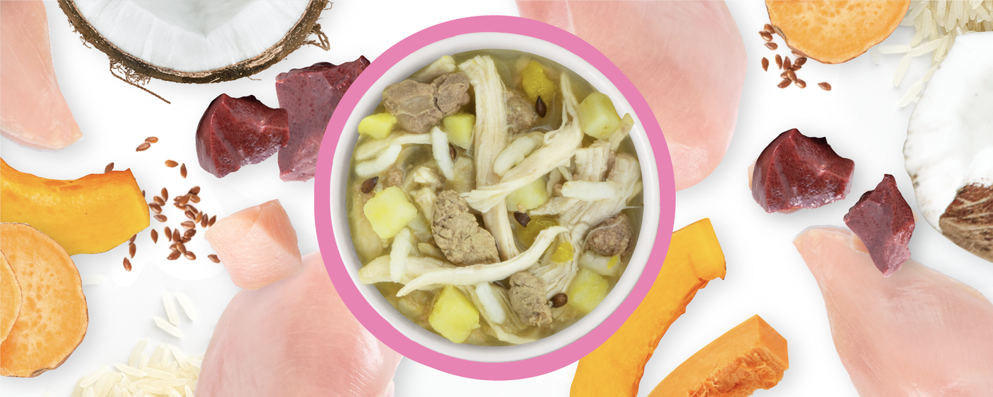 A bowl of shredded chicken and beef stew with potato chunks, surrounded by raw chicken breasts, beef pieces, coconut, sweet potato, squash, flaxseeds, and rice on a white background.