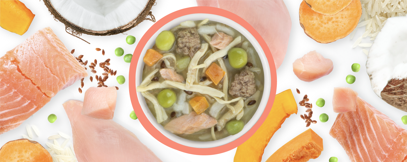 A bowl of pet food with chunks of salmon, meatballs, sweet potato, peas, and rice is surrounded by raw salmon, sweet potato slices, peas, pumpkin, coconut, and uncooked rice on a white background.