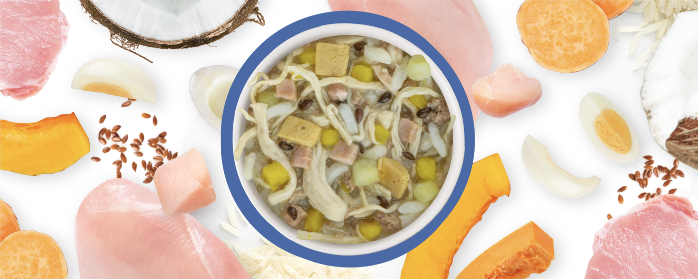 A bowl of chunky soup with meat, diced vegetables, and noodles is surrounded by raw ingredients like chicken breast, sweet potatoes, pumpkin, coconut, flaxseeds, and onion slices on a white background.