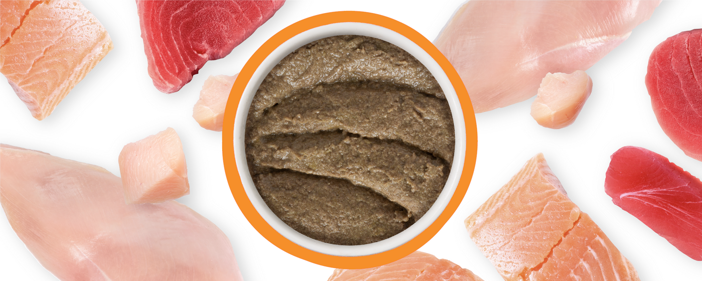 A bowl of brown pate surrounded by raw pieces of salmon, tuna, and chicken on a white background.