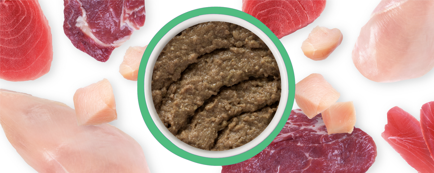 A bowl of brown, pureed food is in the center, surrounded by various raw meats and fish pieces including chicken, beef, and tuna, displayed on a white background.