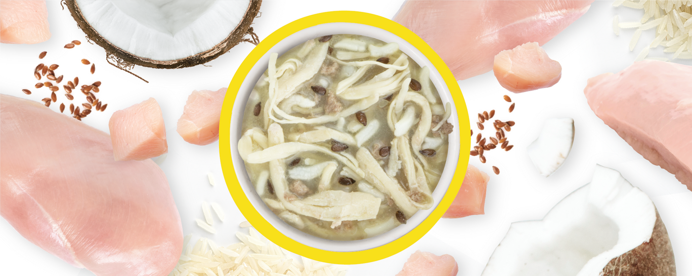 A bowl of creamy chicken soup with shredded chicken and seeds, surrounded by raw chicken pieces, coconut halves, flaxseeds, and grains of rice on a white background.