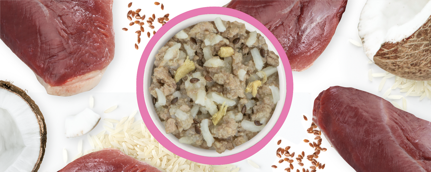 A bowl of pet food made with ground meat, rice, and egg sits in the center, surrounded by raw beef pieces, coconut pieces, rice grains, and flaxseeds on a white background.