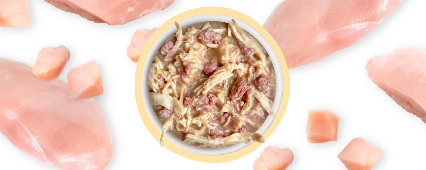 A bowl of wet cat food with shredded chicken and chunks of meat, surrounded by raw chicken breasts and diced chicken pieces on a white background.