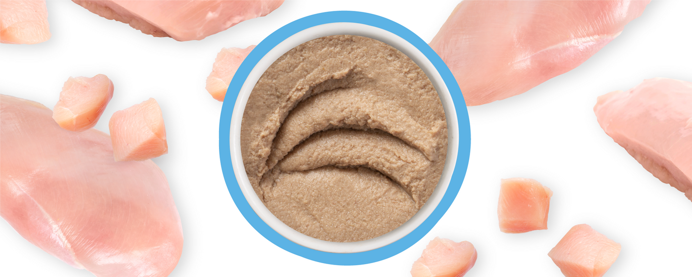 A bowl of smooth, beige chicken pâté is surrounded by raw chicken breasts and small cubed pieces on a white background.