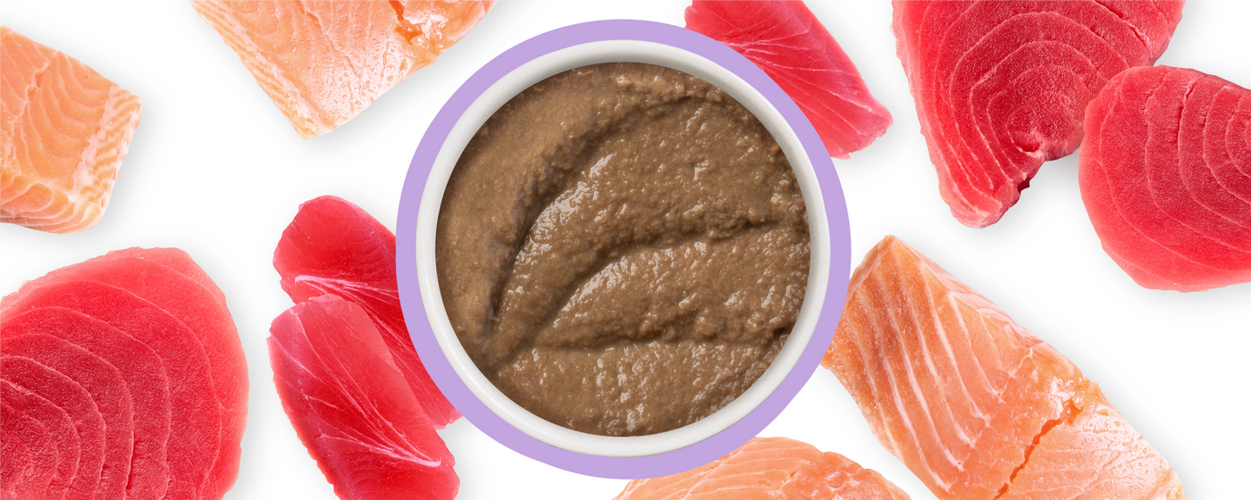A bowl of brown, smooth cat food is surrounded by raw pieces of salmon and tuna on a white background.