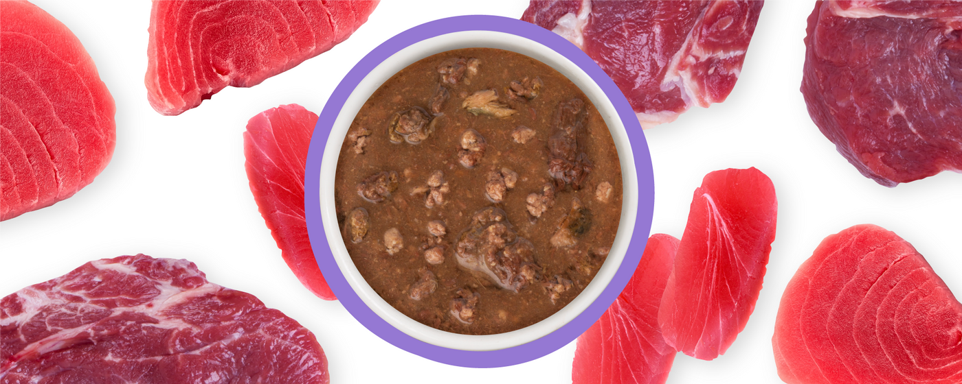 A bowl of chunky brown wet pet food is surrounded by various raw red meat pieces on a white background.