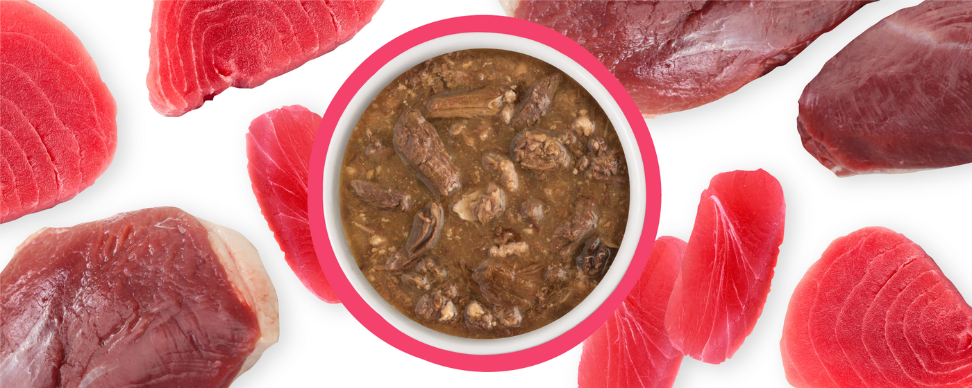A bowl of chunky brown wet cat food is centered on a white background, surrounded by raw red tuna and duck meat pieces.