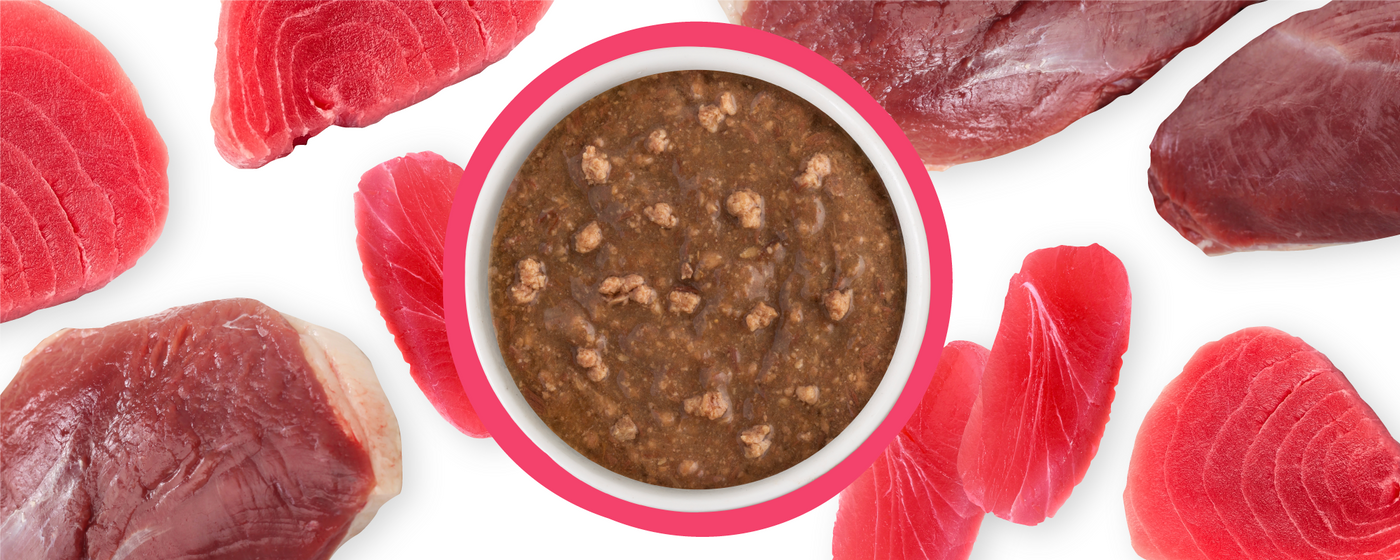 A bowl of brown, chunky wet pet food is surrounded by raw pieces of red meat and fish, all arranged on a white background.