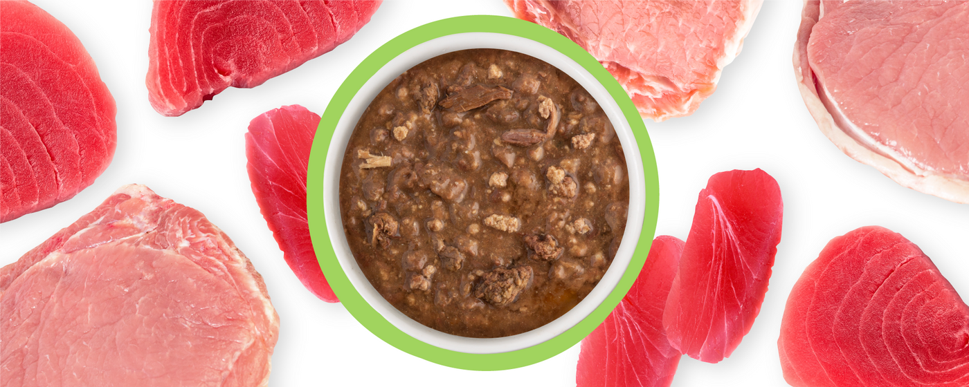 A bowl of wet pet food is surrounded by raw pieces of red meat and fish, displayed on a white background.