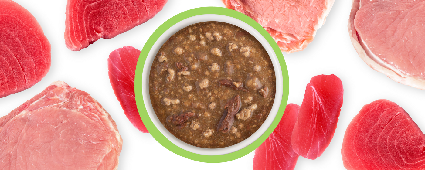 A bowl of chunky wet pet food is surrounded by raw pieces of red meat and tuna on a white background.