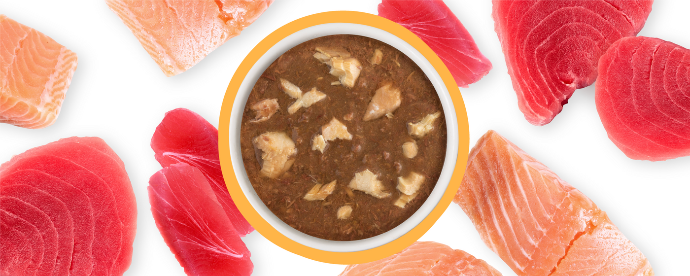 A bowl of chunky brown pet food is surrounded by fresh, raw slices of salmon and tuna on a white background.