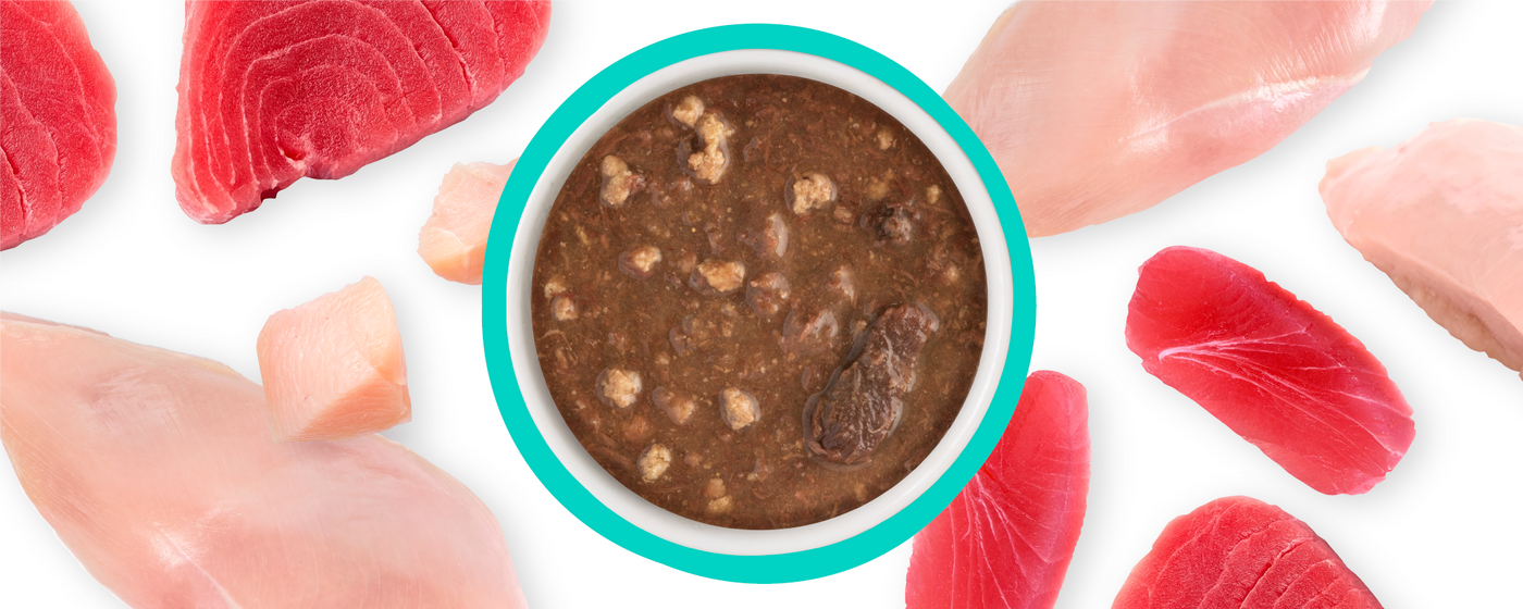 A bowl of chunky brown pet food is surrounded by raw pieces of red and pink fish and poultry meat on a white background.