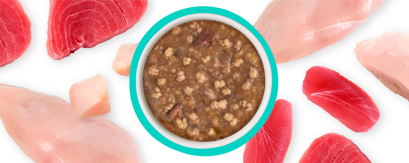 A bowl of chunky brown wet cat food is surrounded by raw pieces of red and light pink fish and meat, all arranged on a white background.