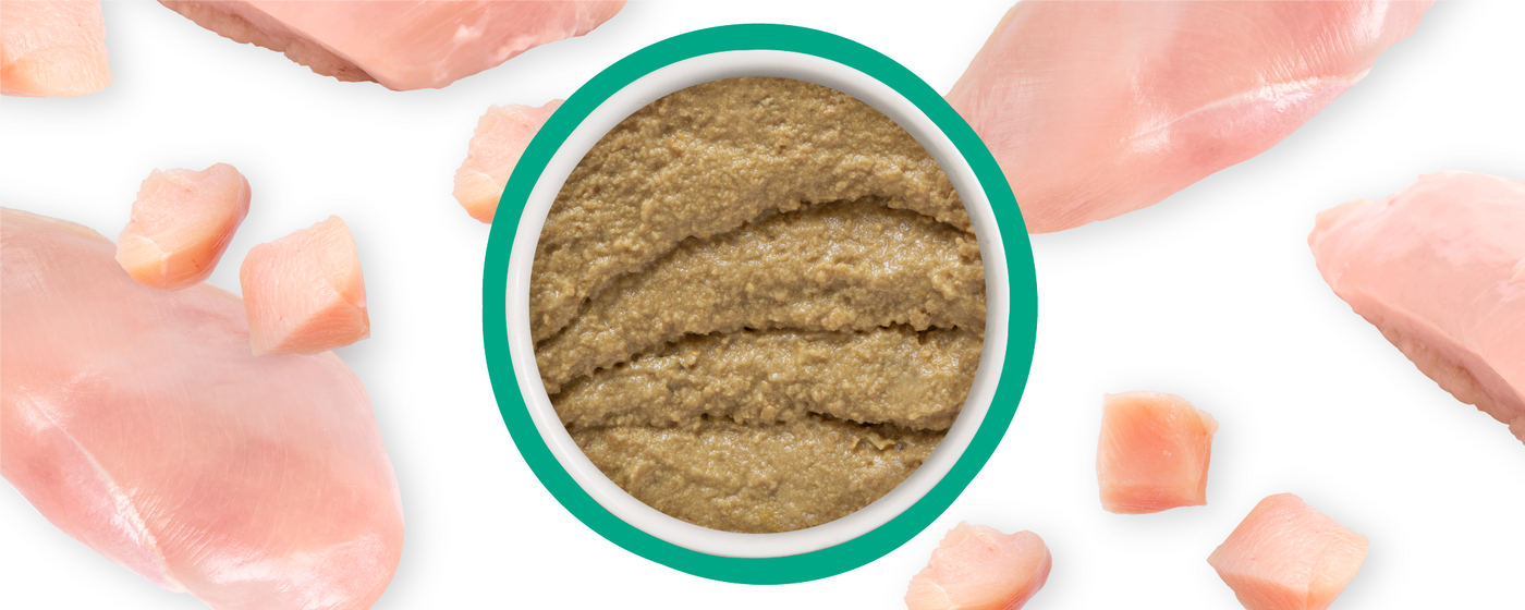 A bowl of brown, creamy blended food is surrounded by raw chicken breast fillets and diced chicken pieces on a white background.
