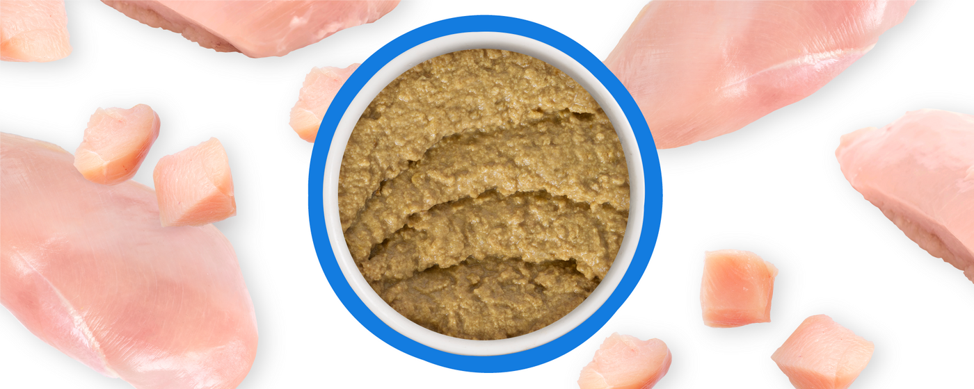A bowl of brown pureed food is surrounded by raw pieces and chunks of pink chicken breast on a white background.