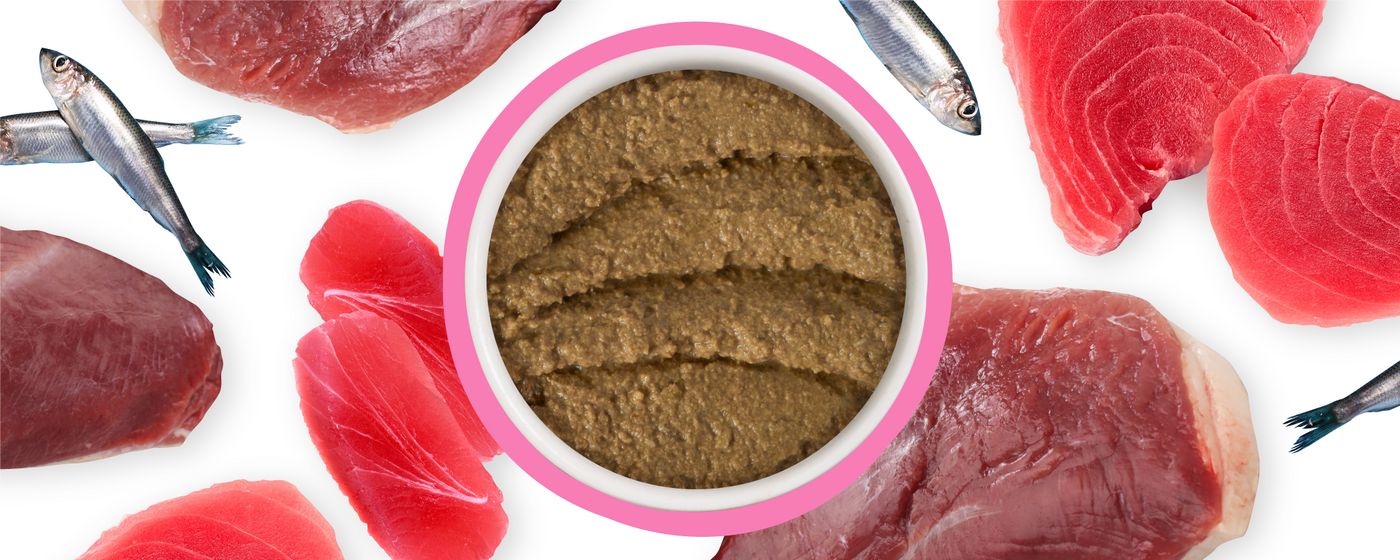 A bowl of brown pate-style food is surrounded by raw cuts of red meat and whole fish, arranged on a white background.