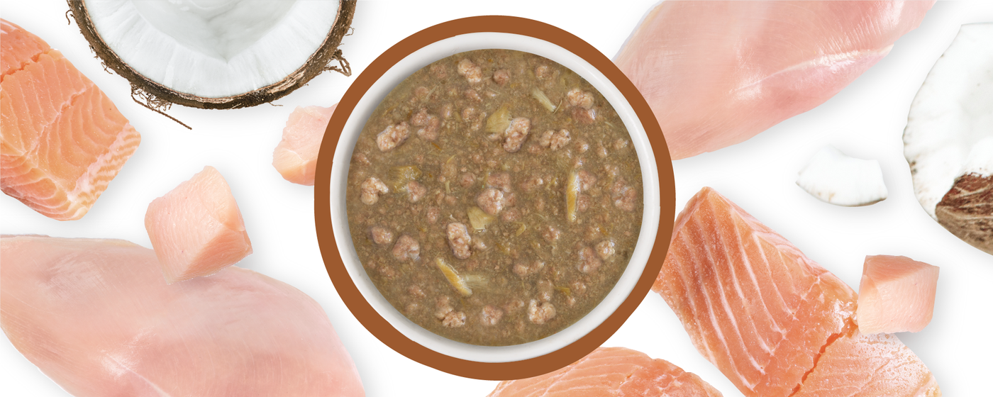 Food Bowl With Ingredients Used Scattered Around It