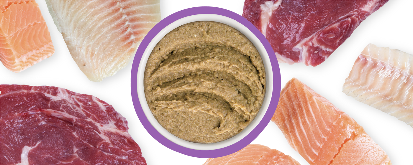 A bowl of brown pâté is surrounded by raw cuts of salmon, beef, and white fish on a white background.