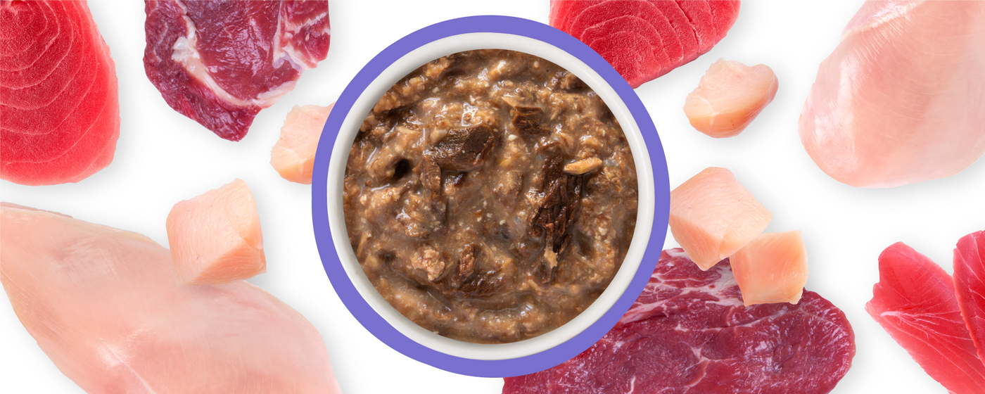 A bowl of brown, chunky wet food is surrounded by various raw meat cuts and chunks, including red and pink pieces, all arranged on a white background.