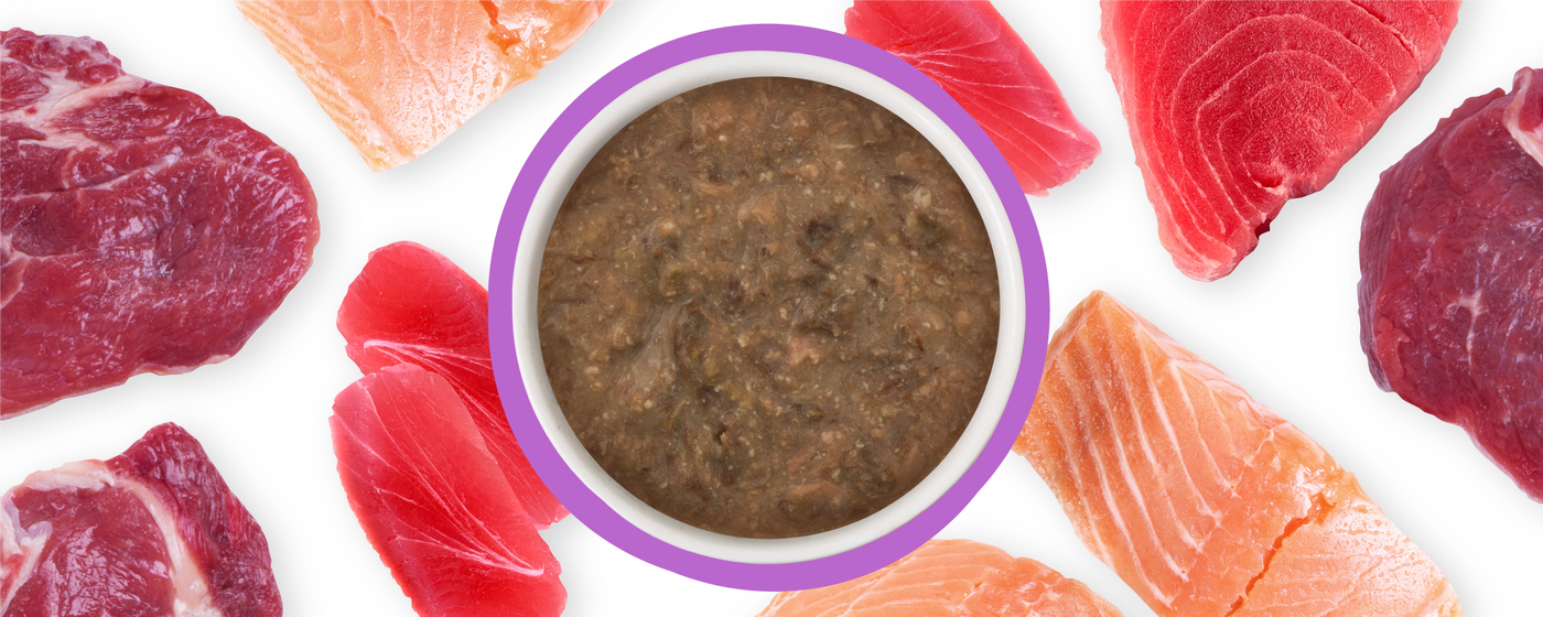A bowl of brown, blended food is surrounded by raw pieces of red beef, pink tuna, and orange salmon on a white background.