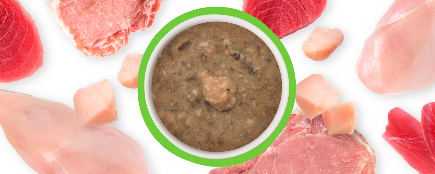 A bowl of brown wet cat food is surrounded by raw cuts of meat, including chicken, pork, and tuna, all displayed on a white background.