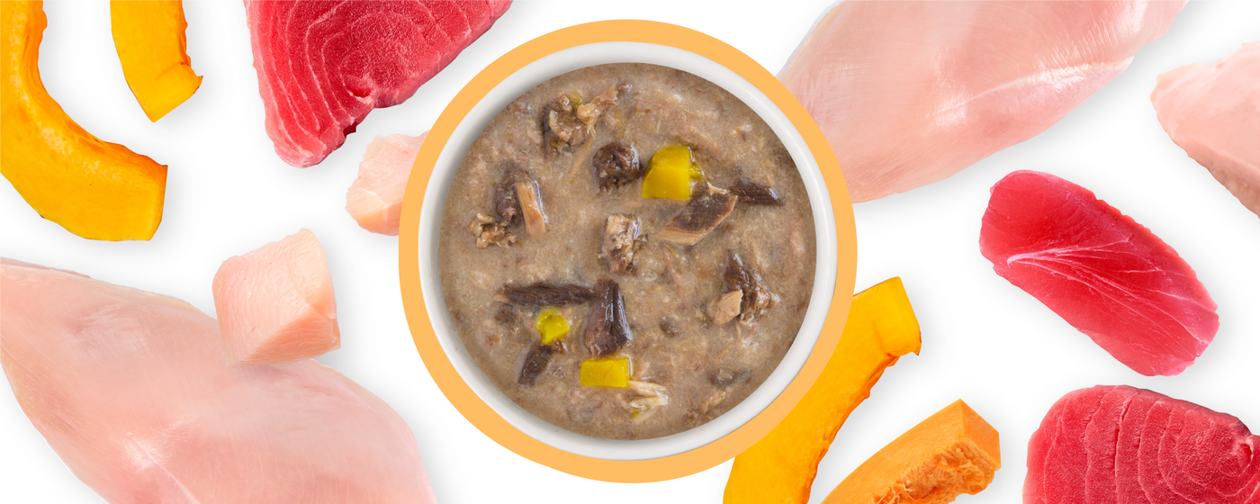 A bowl of chunky wet pet food with visible meat and yellow vegetables, surrounded by raw pieces of chicken, tuna, and orange squash on a white background.