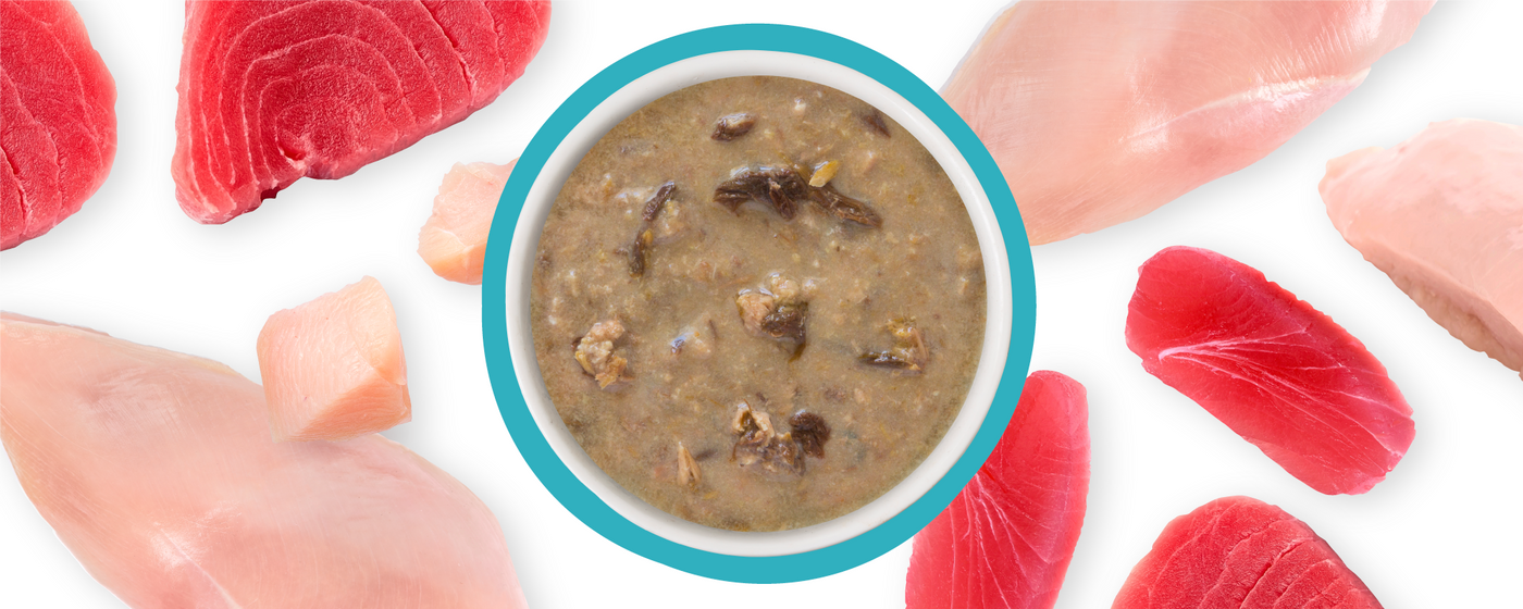 A bowl of chunky brown pet food is surrounded by raw pieces of red tuna and pink chicken breast on a white background.