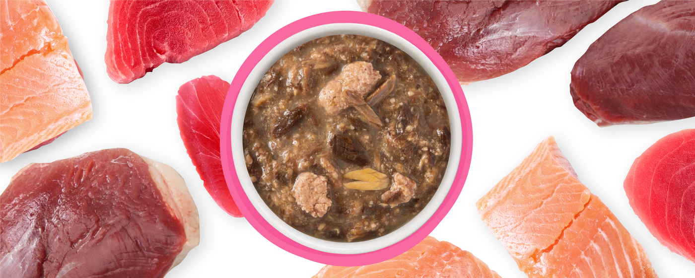 A bowl of food with meat in it.