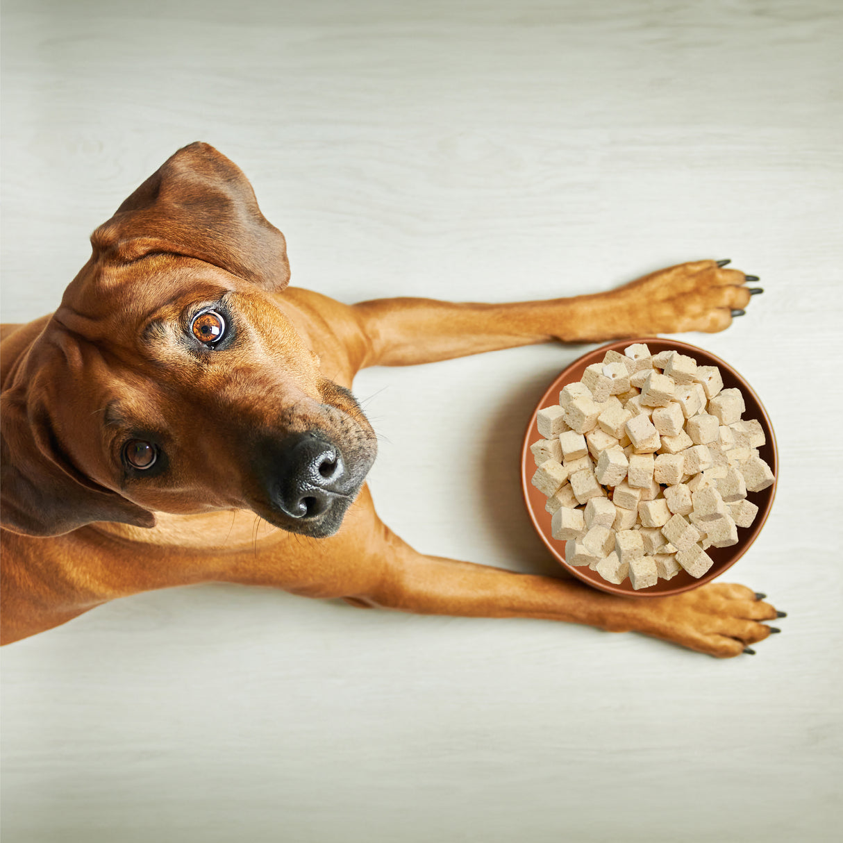 Paw Lickin Chicken Freeze Dried