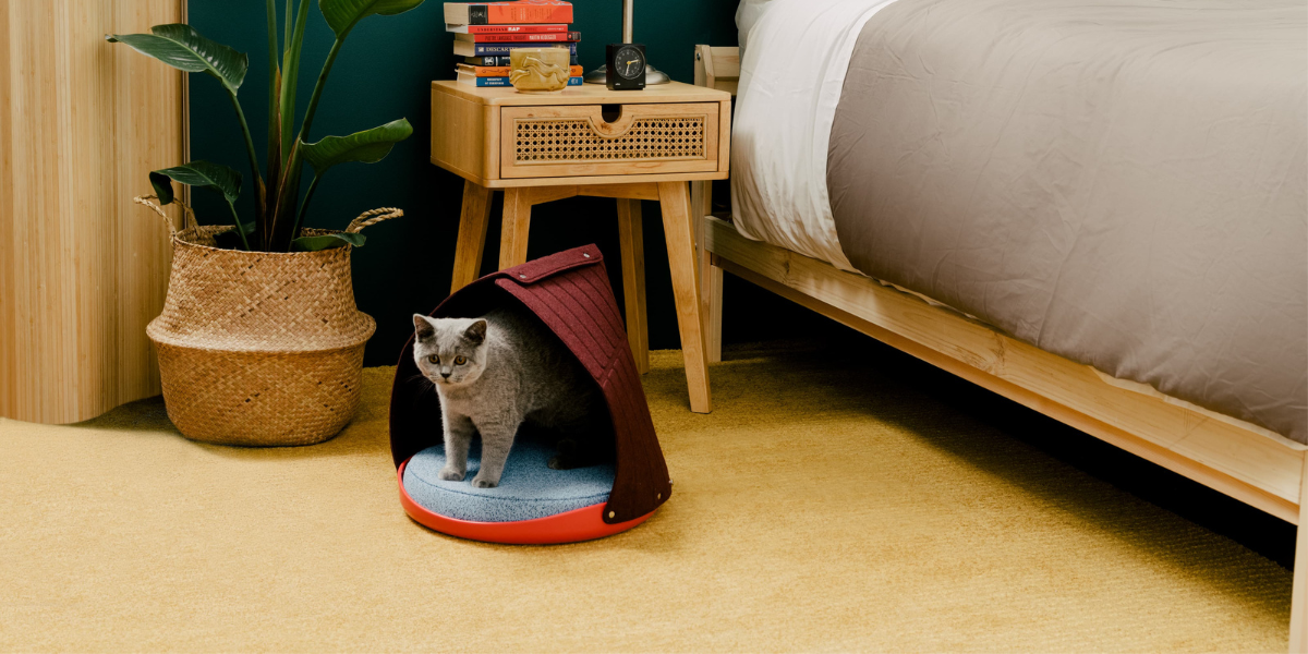 A grey cat stands inside a small, dome-shaped cat bed on a yellow carpet next to a bed, a nightstand with books and a clock, and a woven basket holding a plant.