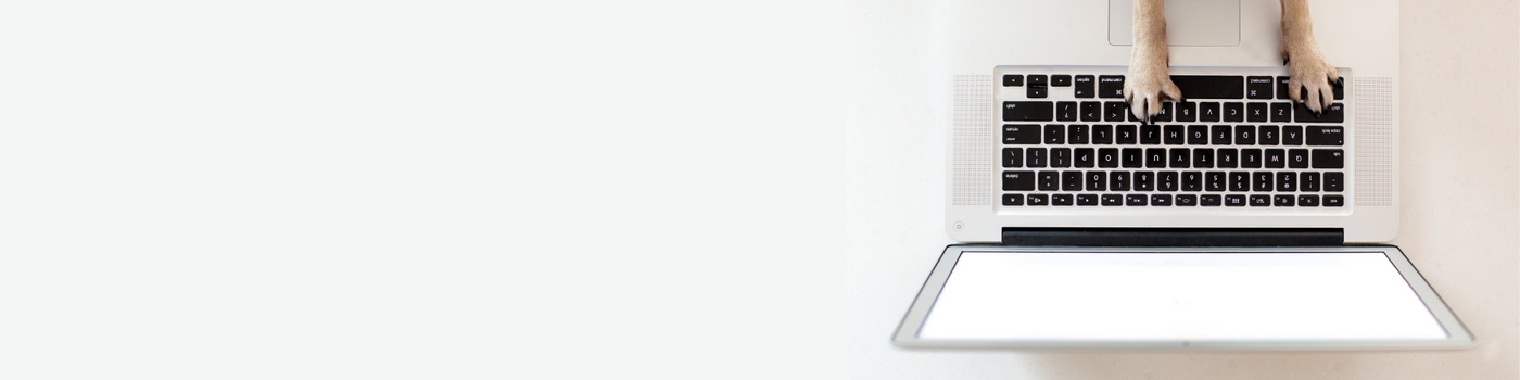 A dog’s front paws rest on the keyboard of an open laptop, as seen from above, with a blank white screen and a large empty space on the left side of the image.