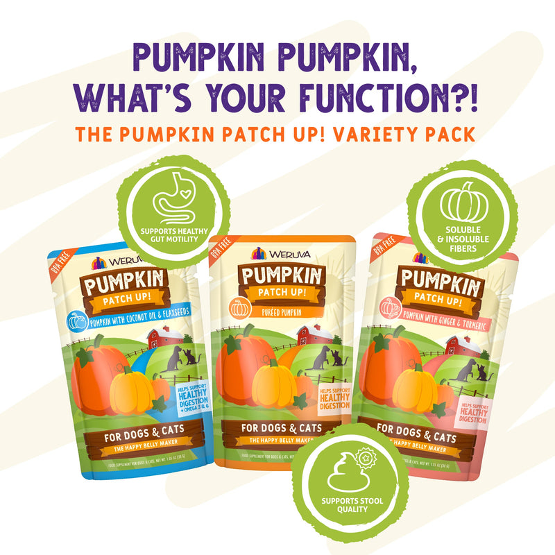 Pumpkin Pumpkin, What's Your Function?!