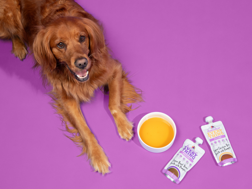Why Pet Parents Are Adding Bone Broth to Their Dog’s Bowl