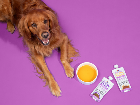 Why Pet Parents Are Adding Bone Broth to Their Dog’s Bowl