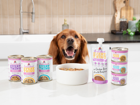 5 Superfoods for Dogs to Power Whole Body Wellness