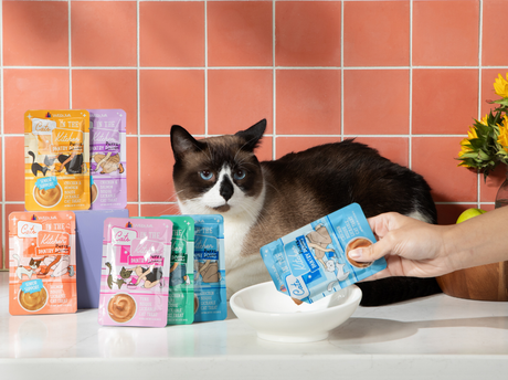 How to Add More Hydration to Your Cat’s Diet