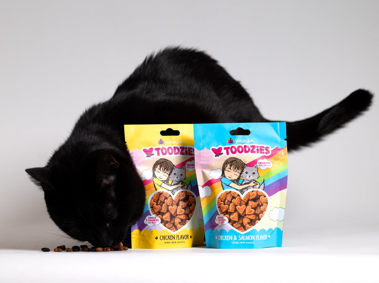 BFF Toodzies: The Crunchy Cat Treat with Attitude