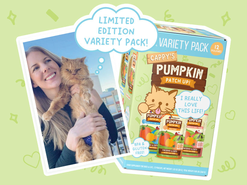 Meet Cappy: My Pumpkin-Loving Cat Who Inspired His Own Weruva Variety Pack